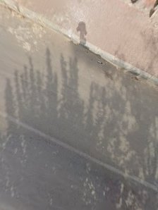 Yamaç erkek kuaförü Yerel İşletme fotoğrafı 2